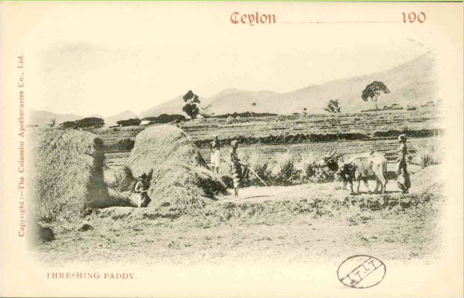 LES NEWS D’HISTOIRES CRÉPUES #9